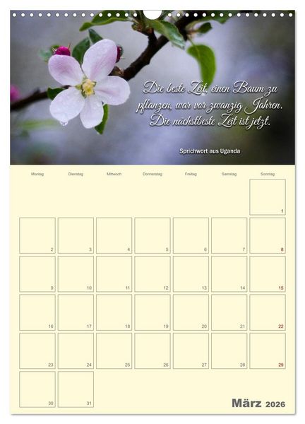 Produktbild: Gartenliebe (Wandkalender 2026 DIN A3 hoch), CALVENDO Monatskalender