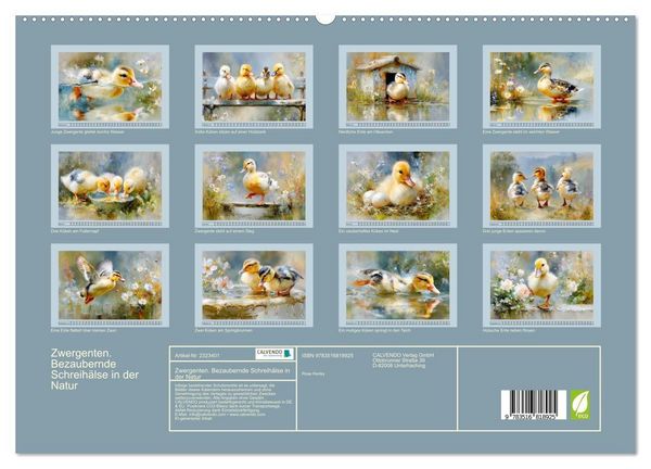 Produktbild: Zwergenten. Bezaubernde Schreih&auml;lse in der Natur (hochwertiger Premium Wandkalender 2027 DIN A2 quer), Kunstdruck in Hochglanz