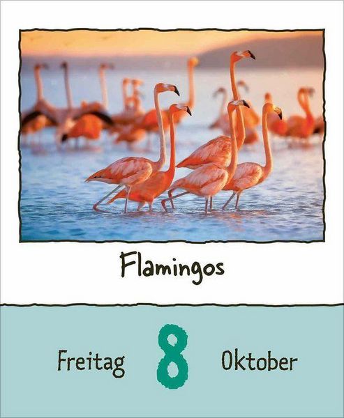 Produktbild: Tierisch unterwegs 2027