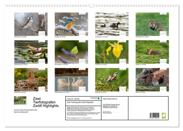 Produktbild: Zwei Tierfotografen Zw&ouml;lf Highlights (Wandkalender 2026 DIN A2 quer), CALVENDO Monatskalender
