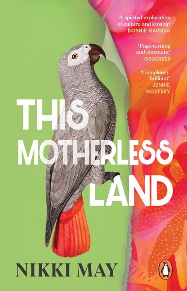 Produktbild: This Motherless Land