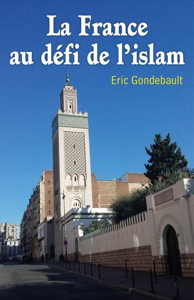 Produktbild: La France au defi de l'islam
