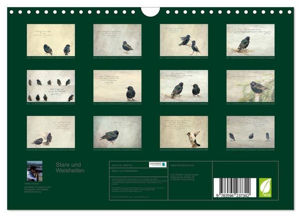 Produktbild: Stare und Weisheiten (Wandkalender 2027 DIN A4 quer), CALVENDO Monatskalender