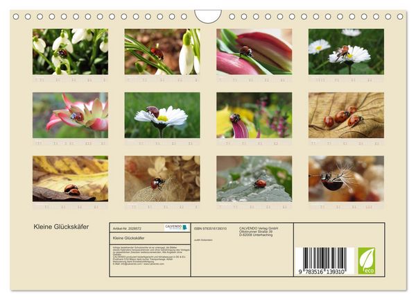 Produktbild: Kleine Gl&uuml;cksk&auml;fer (Wandkalender 2026 DIN A4 quer), CALVENDO Monatskalender
