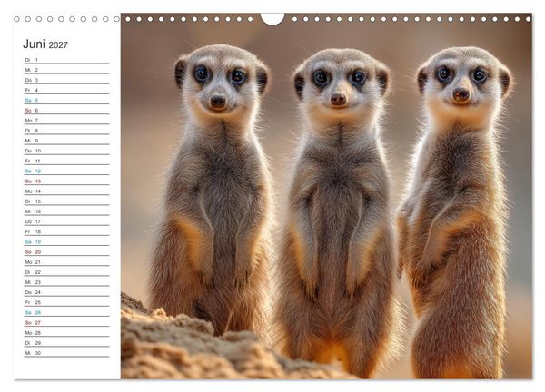 Produktbild: Die Welt der Erdm&auml;nnchen (Wandkalender 2027 DIN A3 quer), CALVENDO Monatskalender