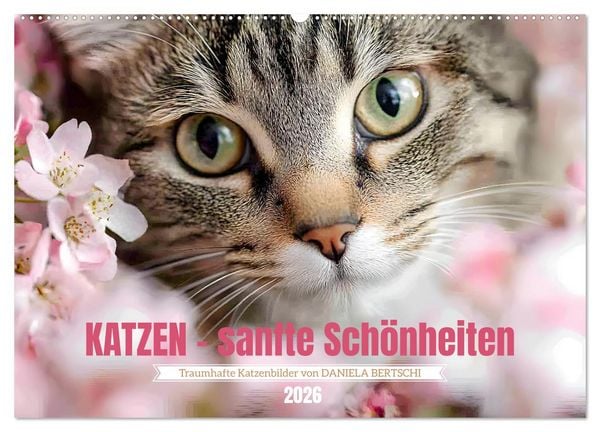 Produktbild: Katzen - sanfte Sch&ouml;nheiten (Wandkalender 2026 DIN A2 quer), CALVENDO Monatskalender