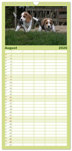 Produktbild: Familienplaner 2026 - Beagle mit 5 Spalten (Wandkalender, 21 x 45 cm) CALVENDO