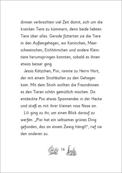 Produktbild: Die magischen Tierfreunde (Band 17) - Kiki Koala und die magische Schule