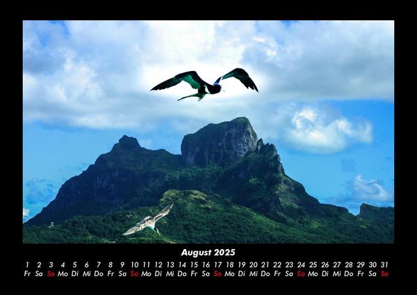 Produktbild: M&ouml;wen 2025 Fotokalender DIN A3