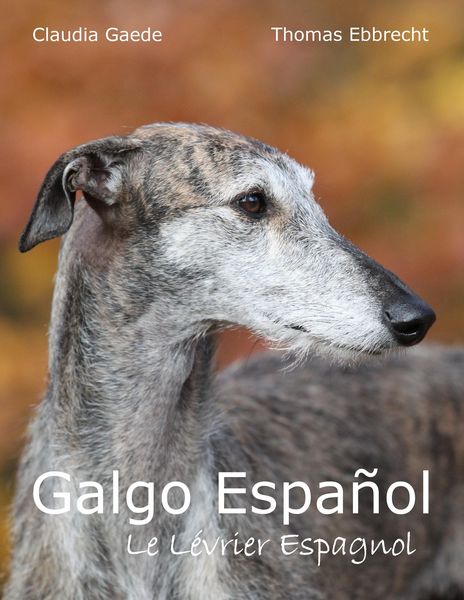 Produktbild: Galgo Espa&ntilde;ol