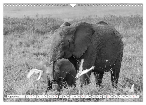 Produktbild: Emotionale Momente: Elefanten in black & white (Wandkalender 2026 DIN A3 quer), CALVENDO Monatskalender