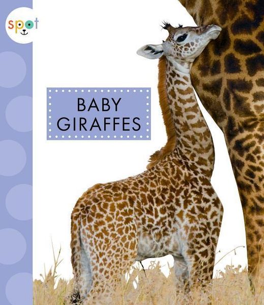 Produktbild: Baby Giraffes