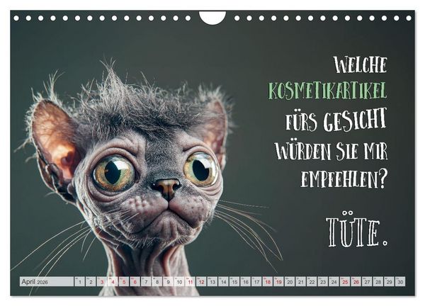 Produktbild: Katzenlogik - Wenn Blicke miauen k&ouml;nnten (Wandkalender 2026 DIN A4 quer), CALVENDO Monatskalender