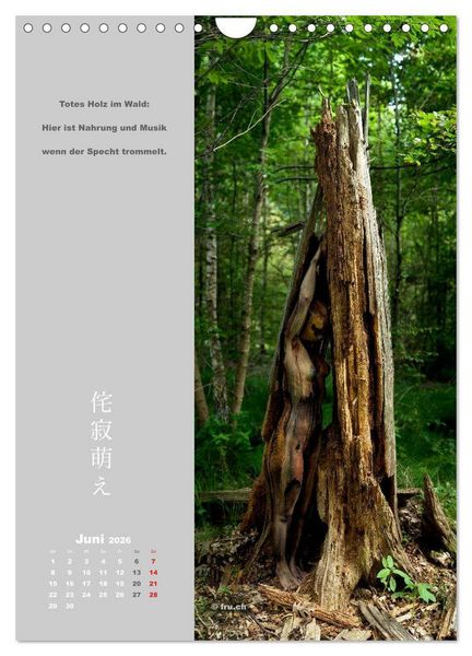 Produktbild: wabi sabi moe &mdash; bewundernswert verg&auml;nglich erotisch &mdash; Akt/Bodypainting (Wandkalender 2026 DIN A4 hoch), CALVENDO Monatskalender