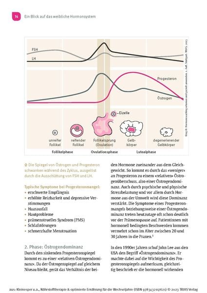 Nährstofftherapie & optimierte Ernährung für die Wechseljahre