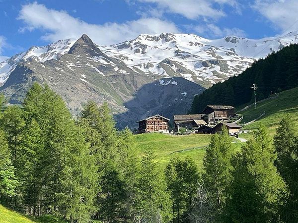 Produktbild: Der Alpen-Appell