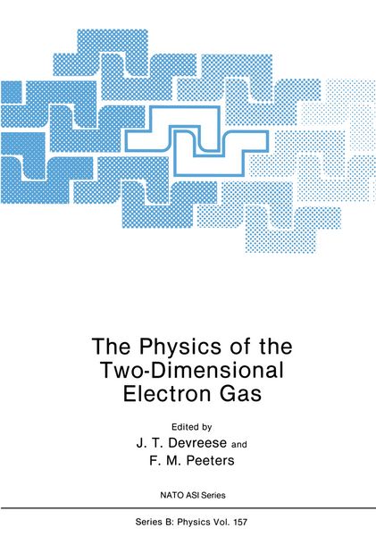 Produktbild: The Physics of the Two-Dimensional Electron Gas