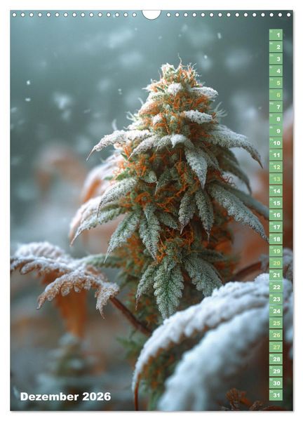Produktbild: Rauschende Aussichten - Der ultimative Cannabis-Kalender (Wandkalender 2026 DIN A3 hoch), CALVENDO Monatskalender