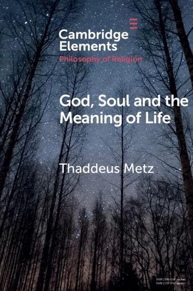 Produktbild: God, Soul and the Meaning of Life