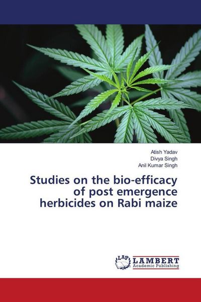 Produktbild: Studies on the bio-efficacy of post emergence herbicides on Rabi maize