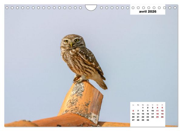 Produktbild: Les habitants de Lesbos Ile des cyclades (Calendrier mural 2026 DIN A4 vertical), CALVENDO calendrier mensuel