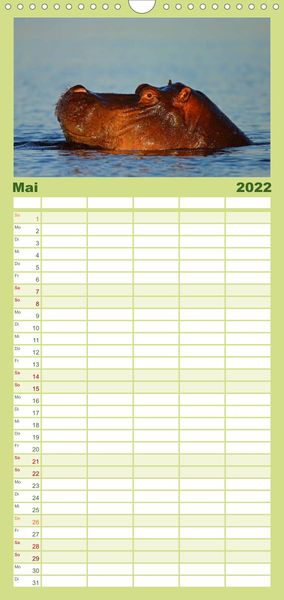 Produktbild: Flusspferde Magie des Augenblicks - Hippos in Afrika - Familienplaner hoch (Wandkalender 2022 , 21 cm x 45 cm, hoch)