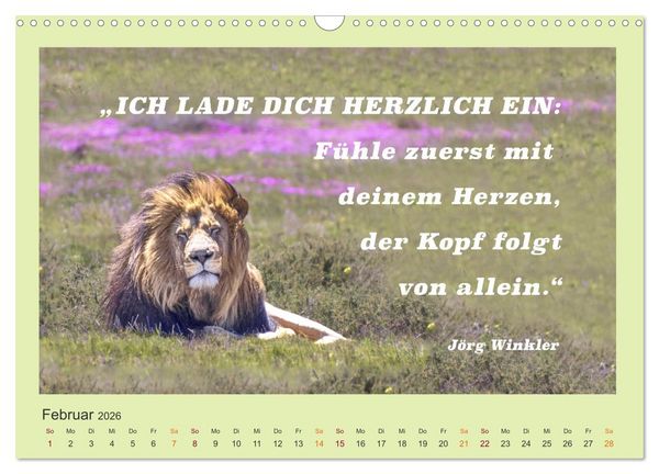Produktbild: Co-Kreation, Gemeinsam Wunder erschaffen (Wandkalender 2026 DIN A3 quer), CALVENDO Monatskalender
