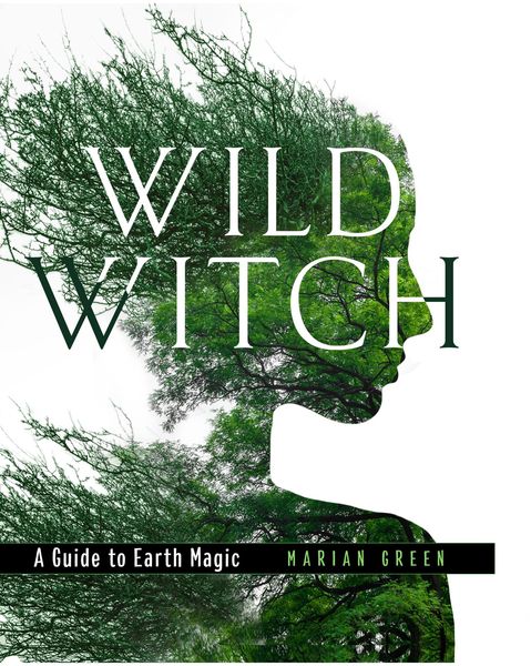 Produktbild: WILD WITCH HB