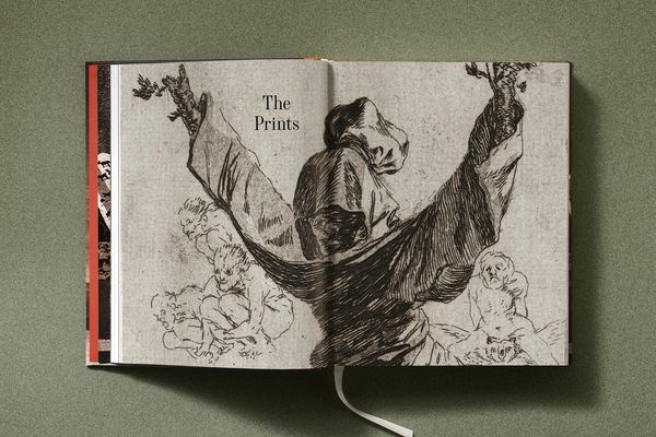 Produktbild: Goya