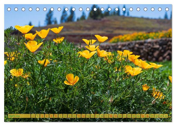 Produktbild: Landschaften der Kanaren - Traumziele f&uuml;r Wanderer (Tischkalender 2026 DIN A5 quer), CALVENDO Monatskalender