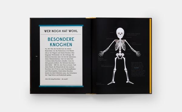 Produktbild: Das Buch der Knochen