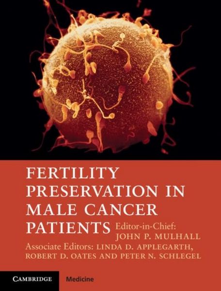 Produktbild: Fertility Preservation in Male Cancer Patients