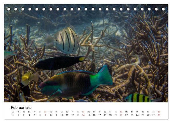 Produktbild: Unterwasserwelt der Malediven II (Tischkalender 2027 DIN A5 quer), CALVENDO Monatskalender