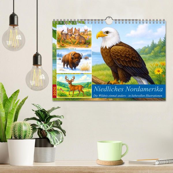 Produktbild: Niedliches Nordamerika (Wandkalender 2026 DIN A4 quer), CALVENDO Monatskalender