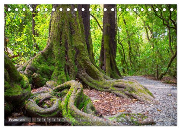 Produktbild: Traumhafte Wege - Unterwegs auf Neuseelands S&uuml;dinsel (Tischkalender 2026 DIN A5 quer), CALVENDO Monatskalender