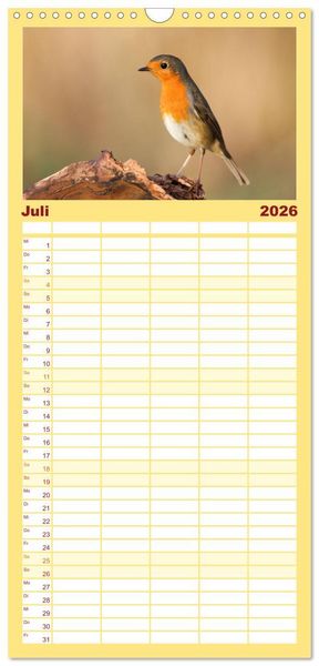 Produktbild: Familienplaner 2026 - Geliebtes Rotkehlchen mit 5 Spalten (Wandkalender, 21 x 45 cm) CALVENDO