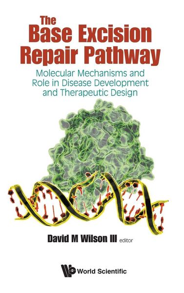Produktbild: Base Excision Repair Pathway, The
