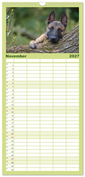 Produktbild: Familienplaner 2027 - Belgischer Sch&auml;ferhund - Der Malinois mit 5 Spalten (Wandkalender, 21 x 45 cm) CALVENDO