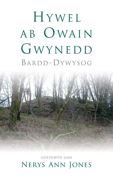Produktbild: Hywel ab Owain Gwynedd