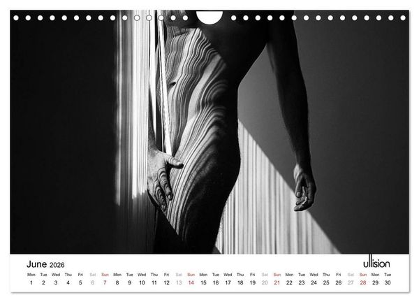 Produktbild: Male Nude Art (Wall Calendar 2026 DIN A4 landscape), CALVENDO 12 Month Wall Calendar