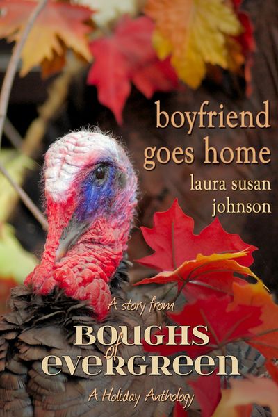 Produktbild: Boyfriend Goes Home (The House on Glass Beach, #4)