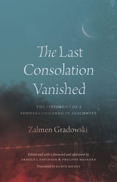 Produktbild: Last Consolation Vanished