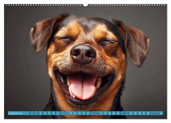 Produktbild: L&auml;chelnde Hunde sind wie Sonnenschein auf vier Pfoten (Wandkalender 2026 DIN A2 quer), CALVENDO Monatskalender