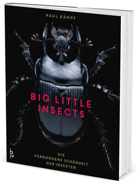 Produktbild: Big Little Insects