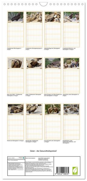 Produktbild: Familienplaner 2026 - Geier - die Gesundheitspolizei! mit 5 Spalten (Wandkalender, 21 x 45 cm) CALVENDO