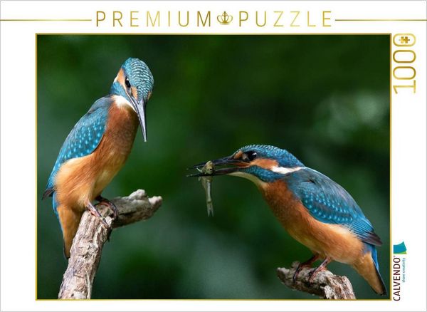 Produktbild: CALVENDO Puzzle Nun komm schon, nimm ihn. | 1000 Teile Lege-Gr&ouml;&szlig;e 64x48cm Foto-Puzzle f&uuml;r gl&uuml;ckliche Stunden