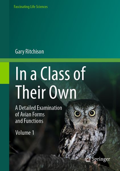 Produktbild: In a Class of Their Own