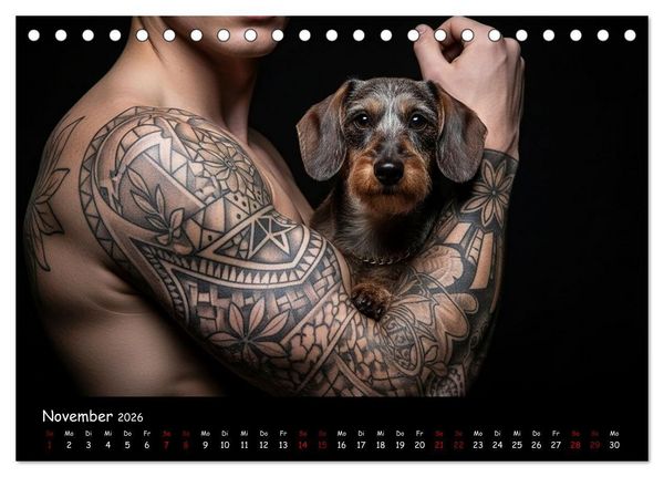 Produktbild: Coole Typen - Rauhaardackel (Tischkalender 2026 DIN A5 quer), CALVENDO Monatskalender