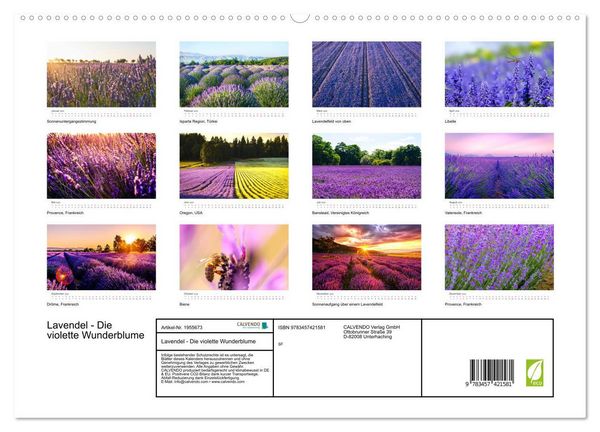 Produktbild: Lavendel - Die violette Wunderblume (hochwertiger Premium Wandkalender 2026 DIN A2 quer), Kunstdruck in Hochglanz