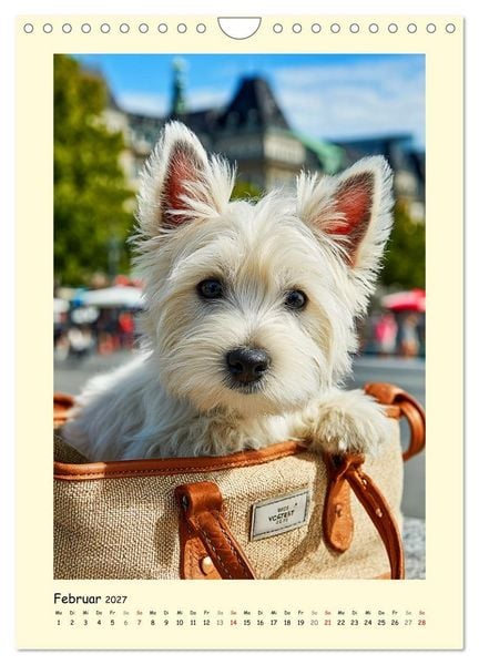 Produktbild: S&uuml;&szlig;er Wuschelkopf. West Highland White Terrier Momente (Wandkalender 2027 DIN A4 hoch), CALVENDO Monatskalender